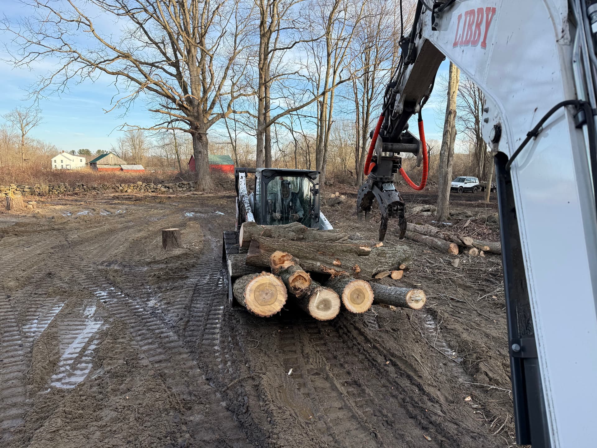 Efficient Forestry Mulching and Tree Cutting