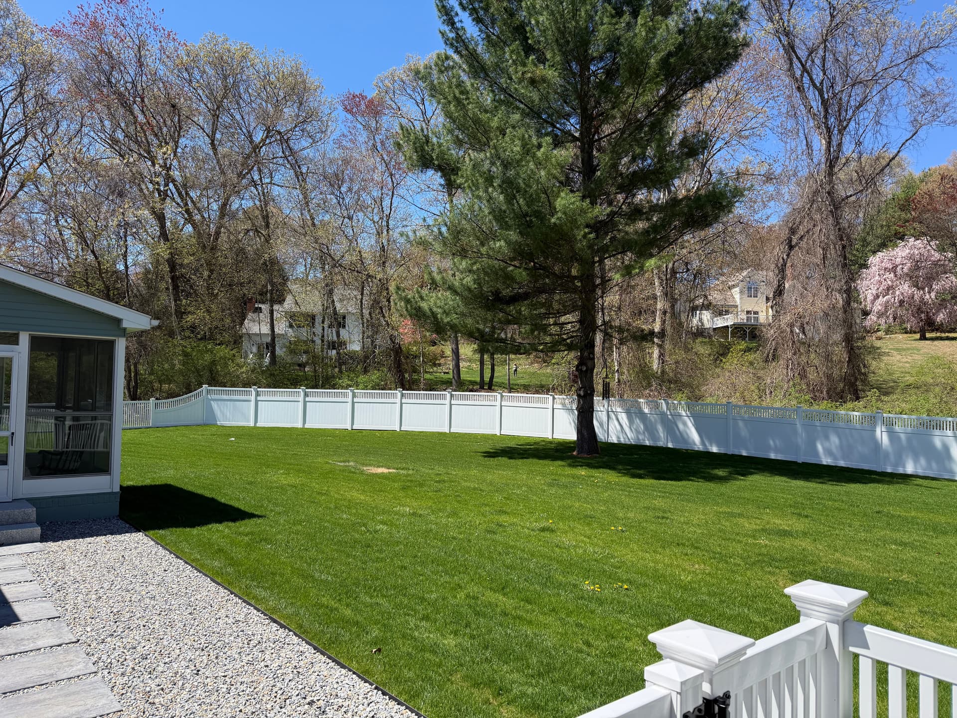 Gallery photos for Overgrown Backyard Cleared and Turned Into a Real Lawn: Image #3