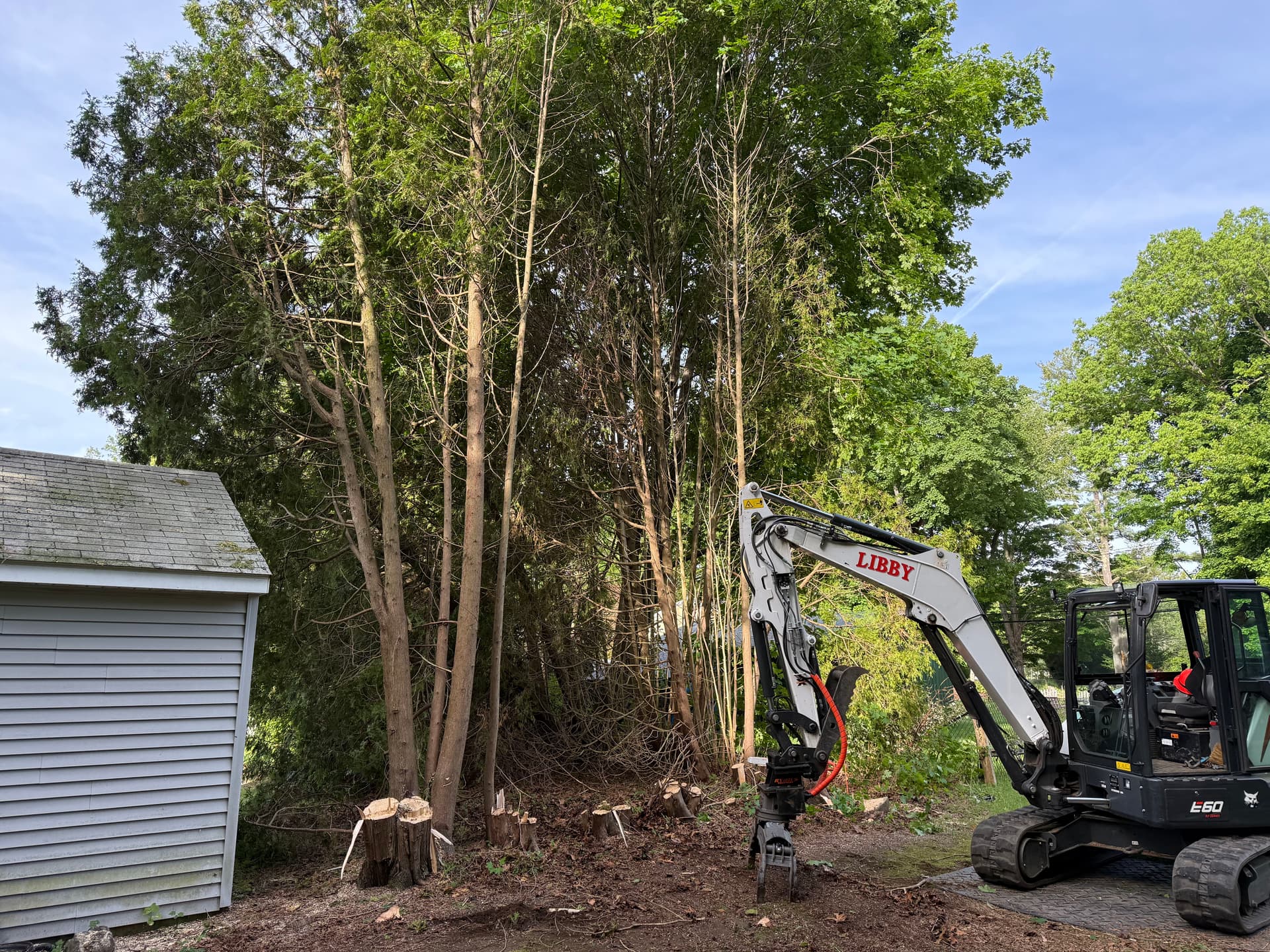 Overgrown Side Yard Cleared and Graded for Pool Installation image