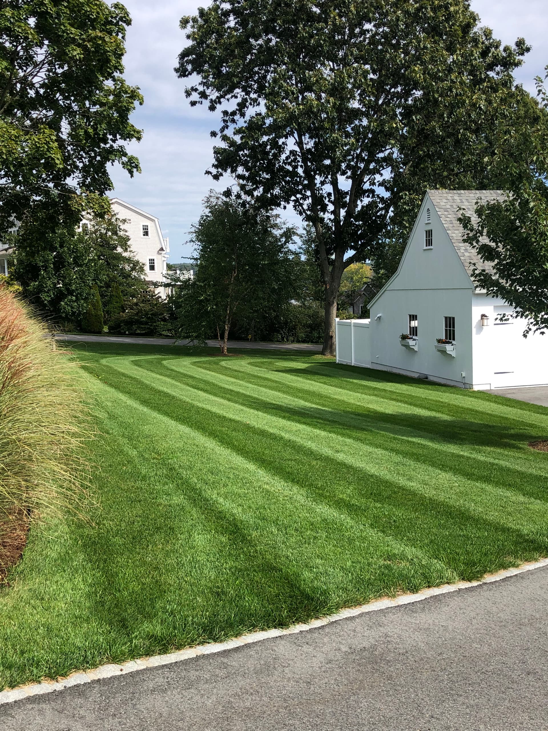 Showcasing Our Expertise in Lawn Perfection