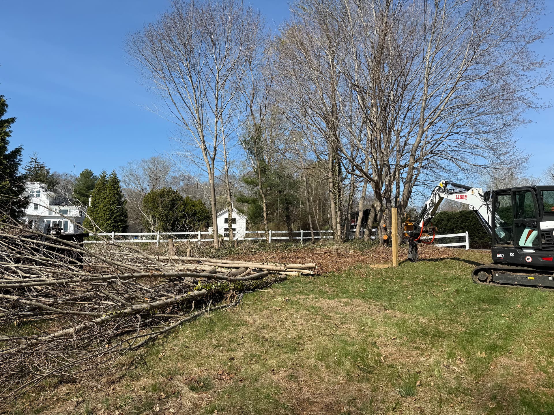 Gallery photos for Overgrown to Open - Full Land Clearing and Seed Done Right: Image #1