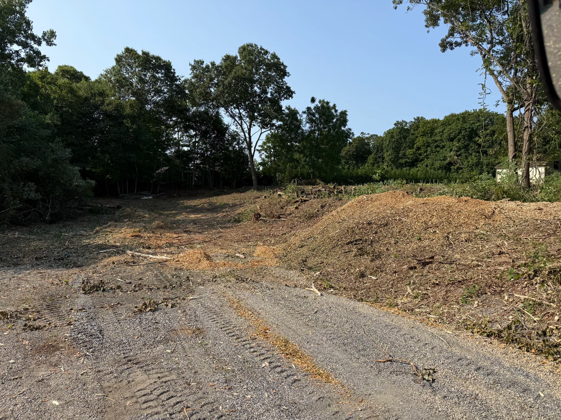 Gallery photos for Brush Clearing and Forestry Mulching Turns Overgrown Land into Usable Ground: Image #2