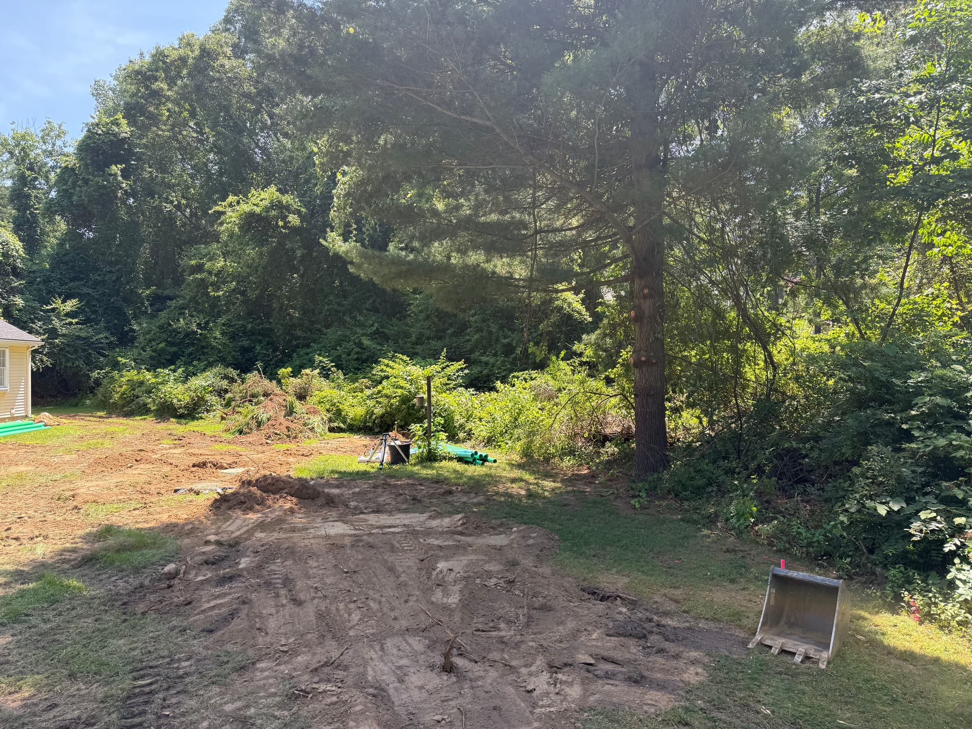 Gallery photos for Overgrown Backyard Cleared and Turned Into a Real Lawn: Image #2