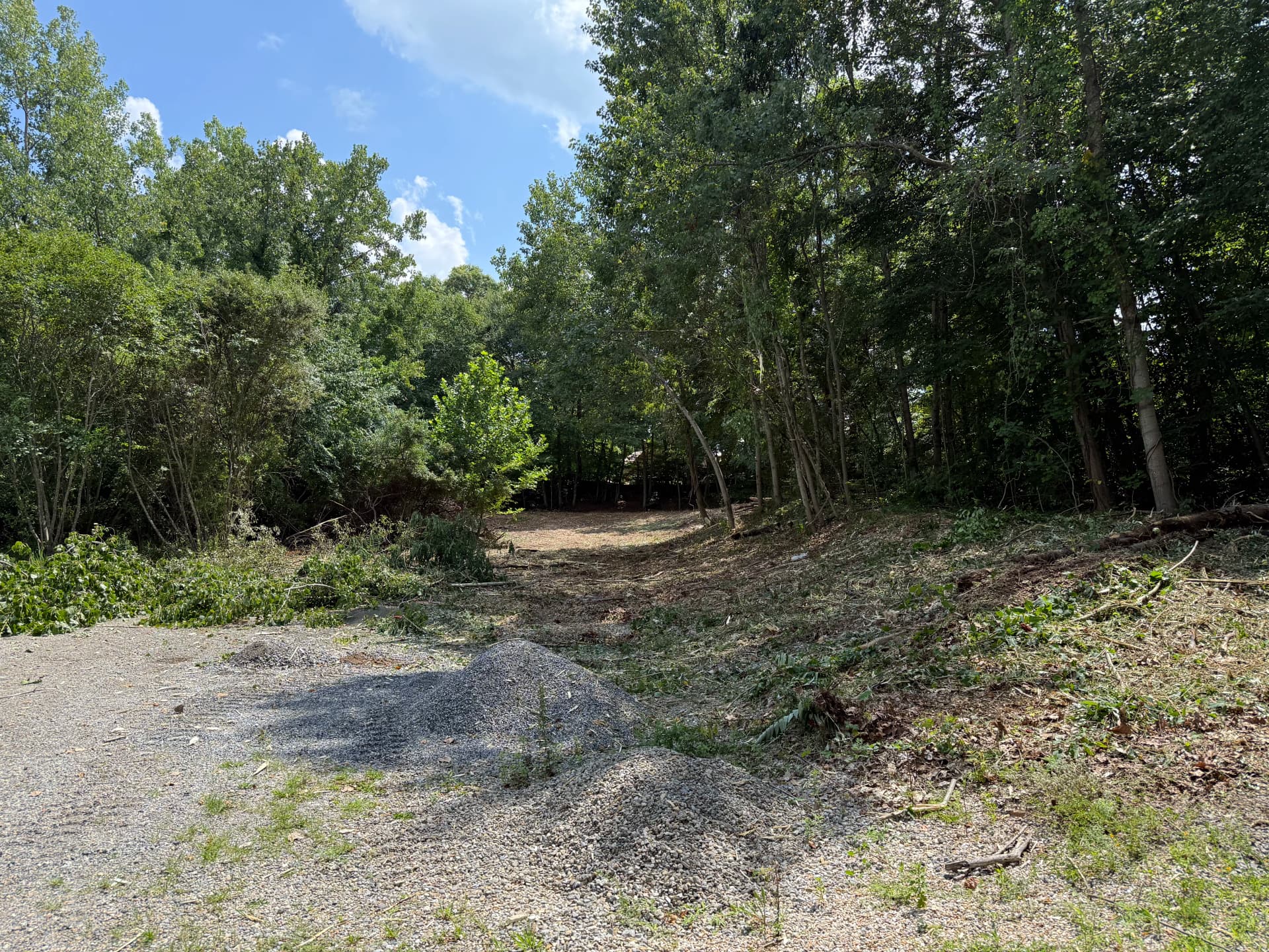 Gallery photos for Brush Clearing and Forestry Mulching Turns Overgrown Land into Usable Ground: Image #1