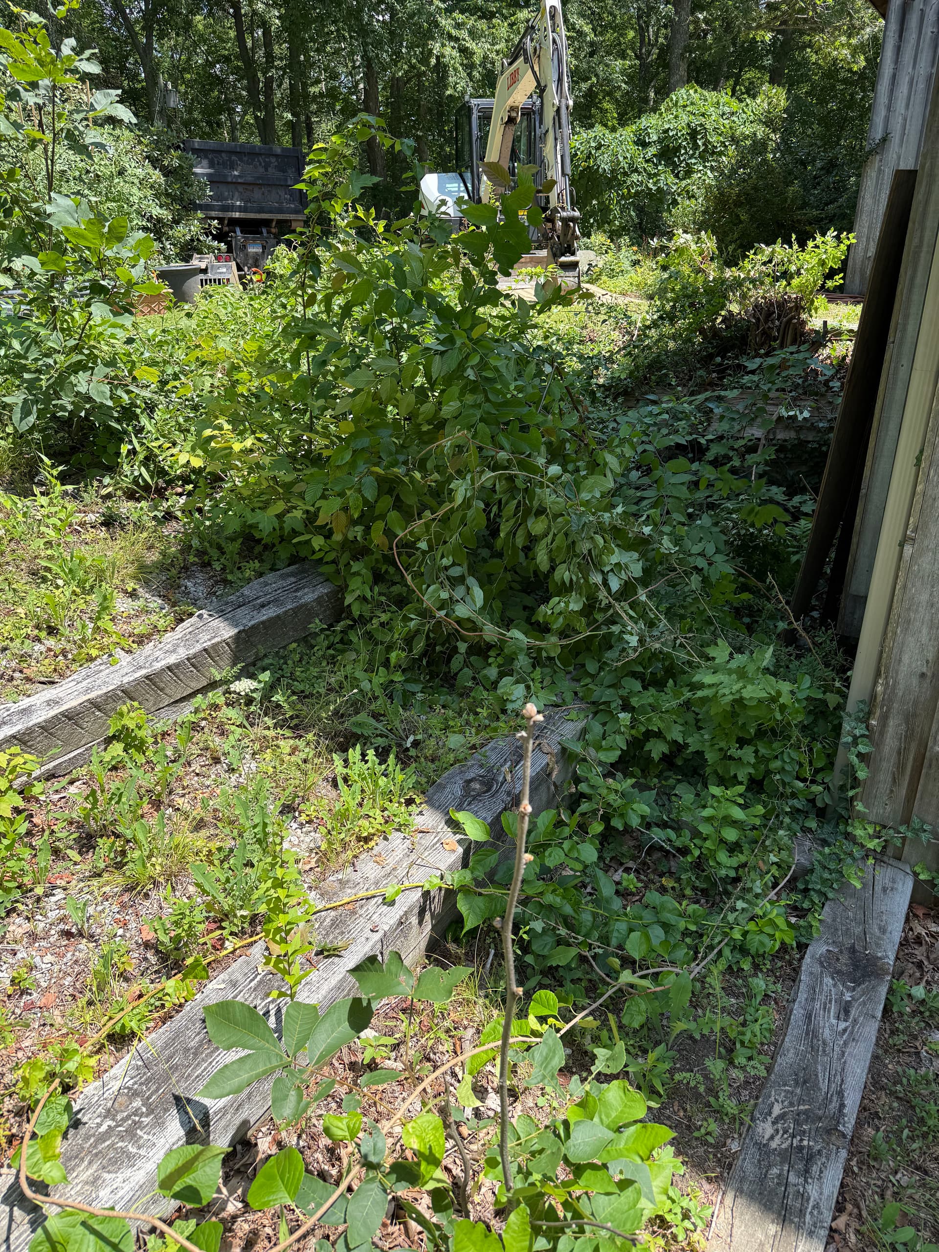 Gallery photos for Failing Timber Retaining Wall Rebuilt With Boulders and Proper Drainage: Image #1