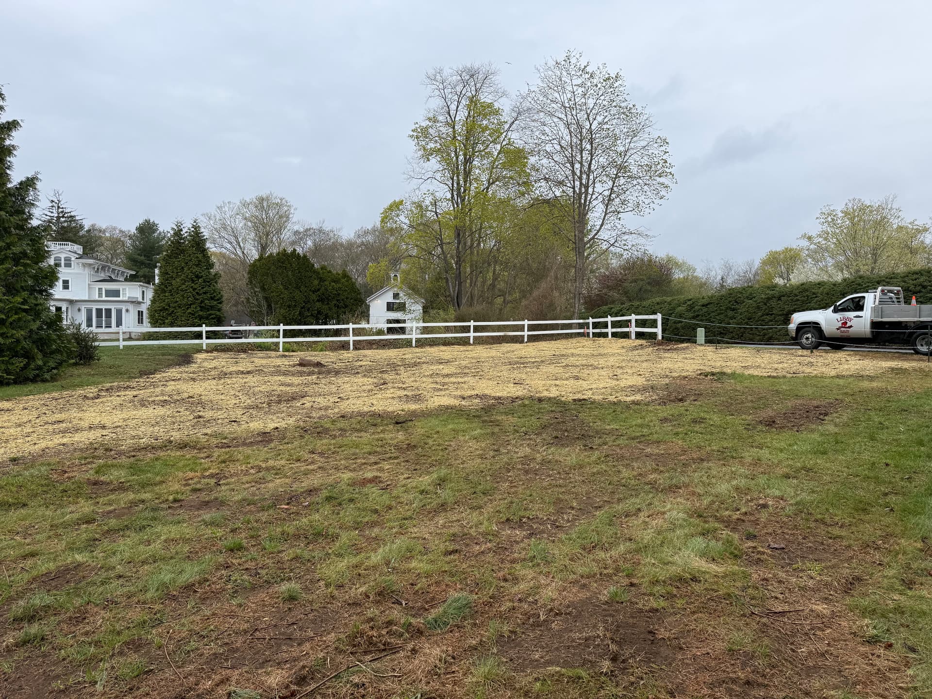 Gallery photos for Overgrown to Open - Full Land Clearing and Seed Done Right: Image #2