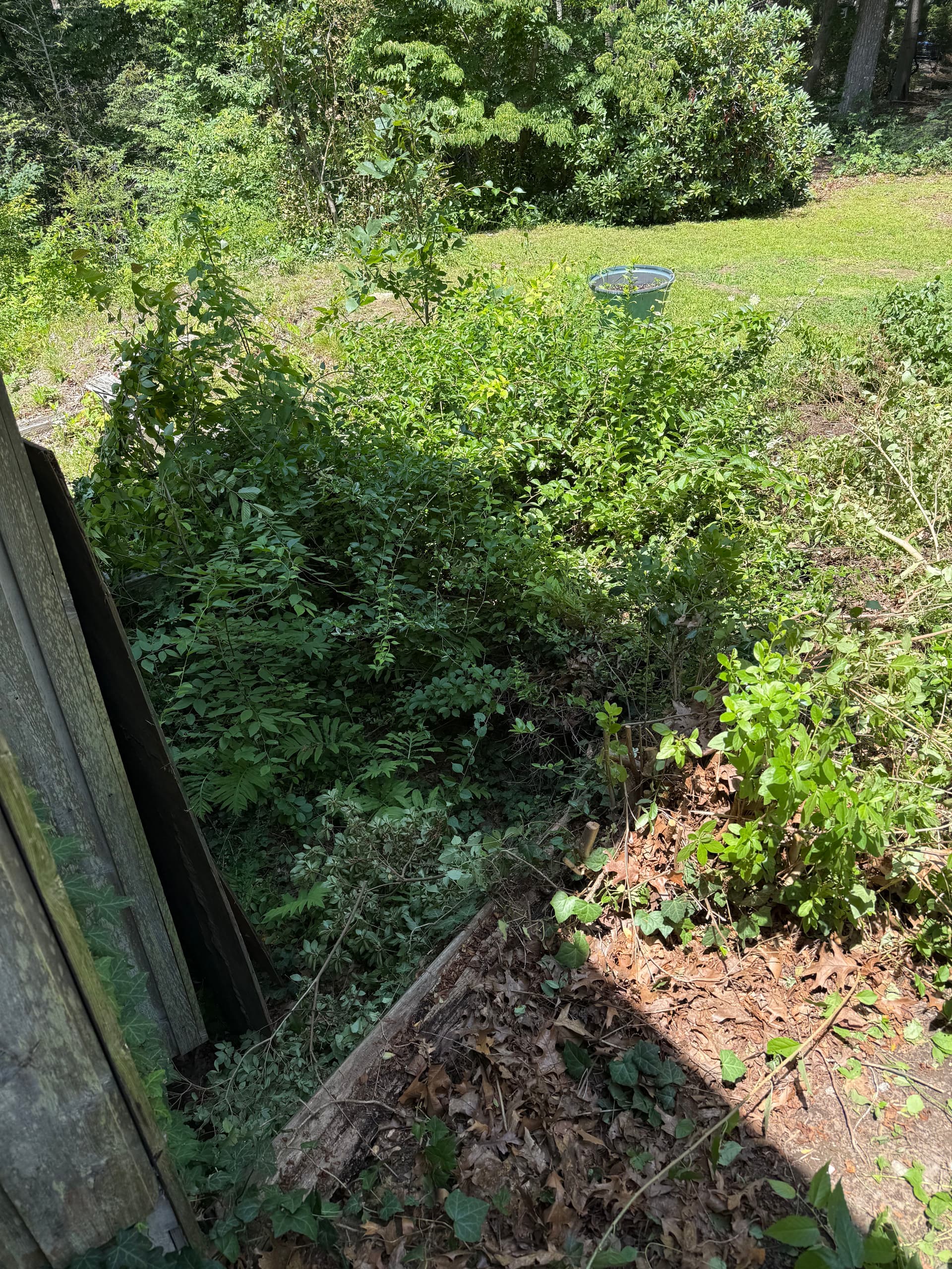 Gallery photos for Failing Timber Retaining Wall Rebuilt With Boulders and Proper Drainage: Image #2