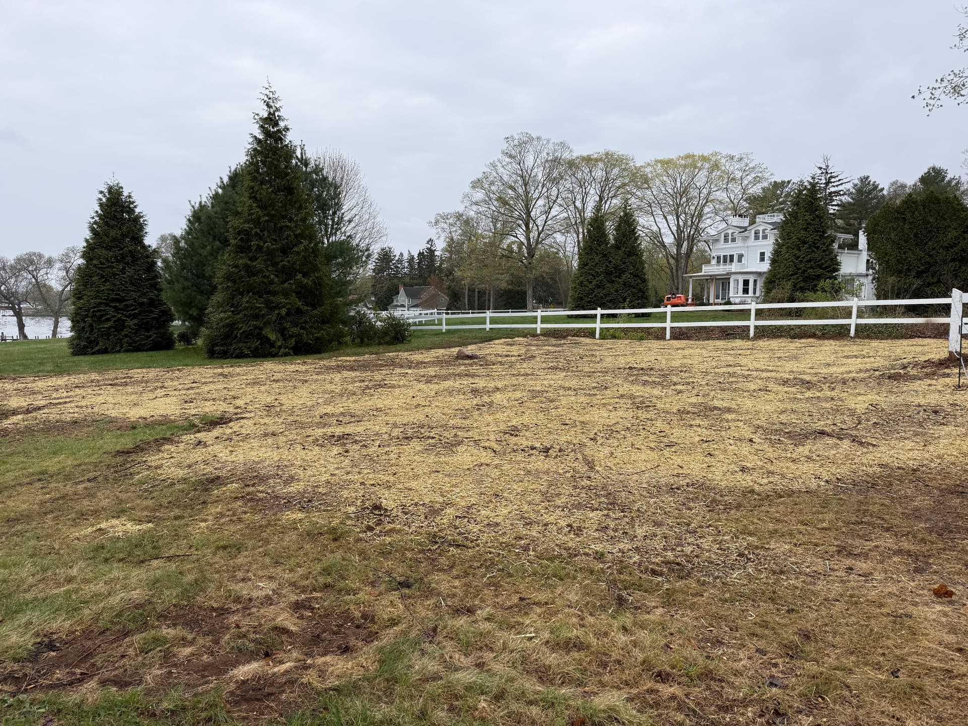 Gallery photos for Overgrown to Open - Full Land Clearing and Seed Done Right: Image #3