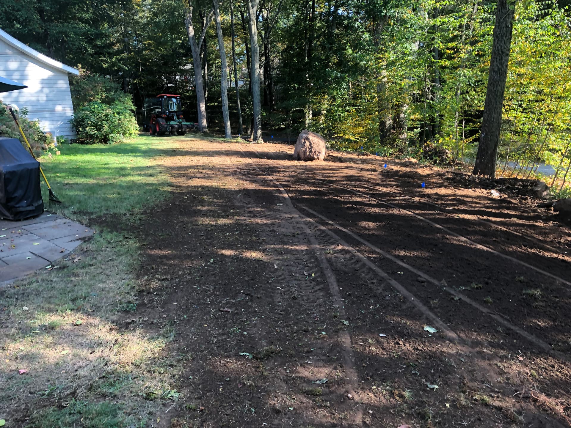 Gallery photos for Overgrown Brush Cleared and Planted with Green Giant Arborvitaes: Image #1