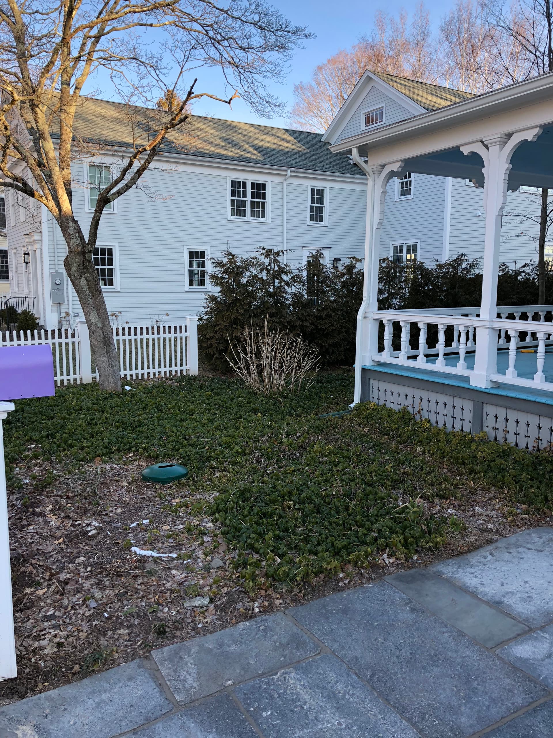 Lush New Lawn Installation in Local Backyard