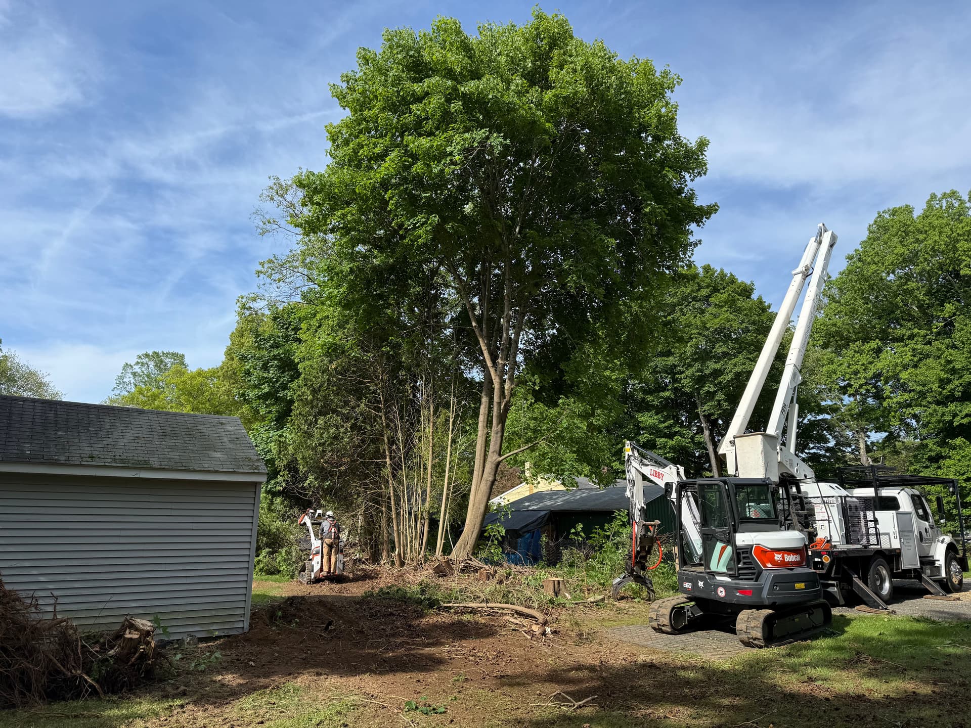 Gallery photos for Overgrown Side Yard Cleared and Graded for Pool Installation: Image #1