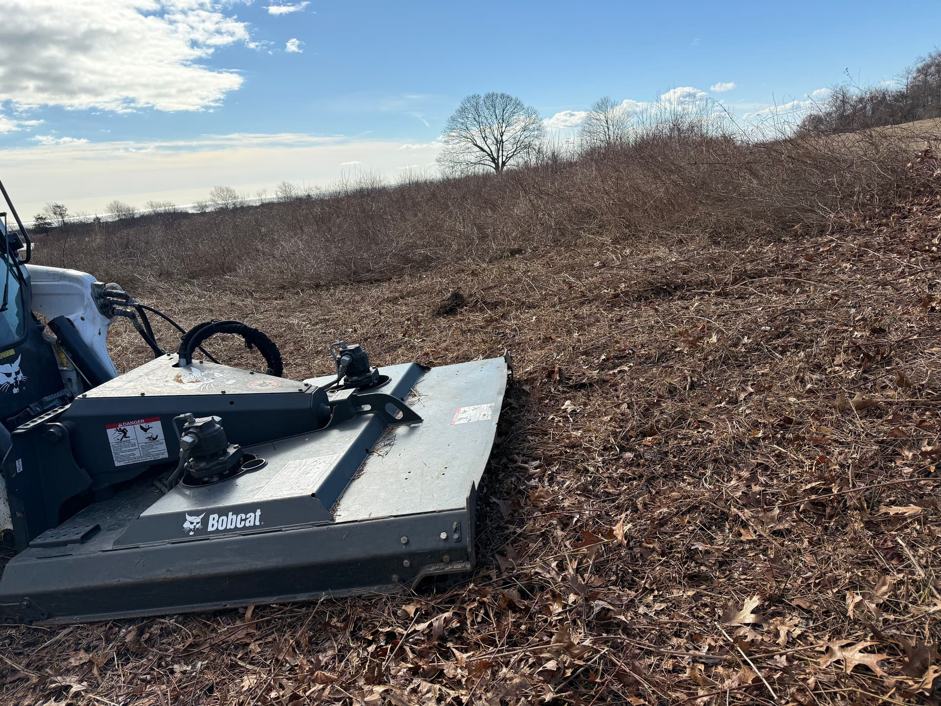 Brush Mowing Project for a Cleaner Landscape