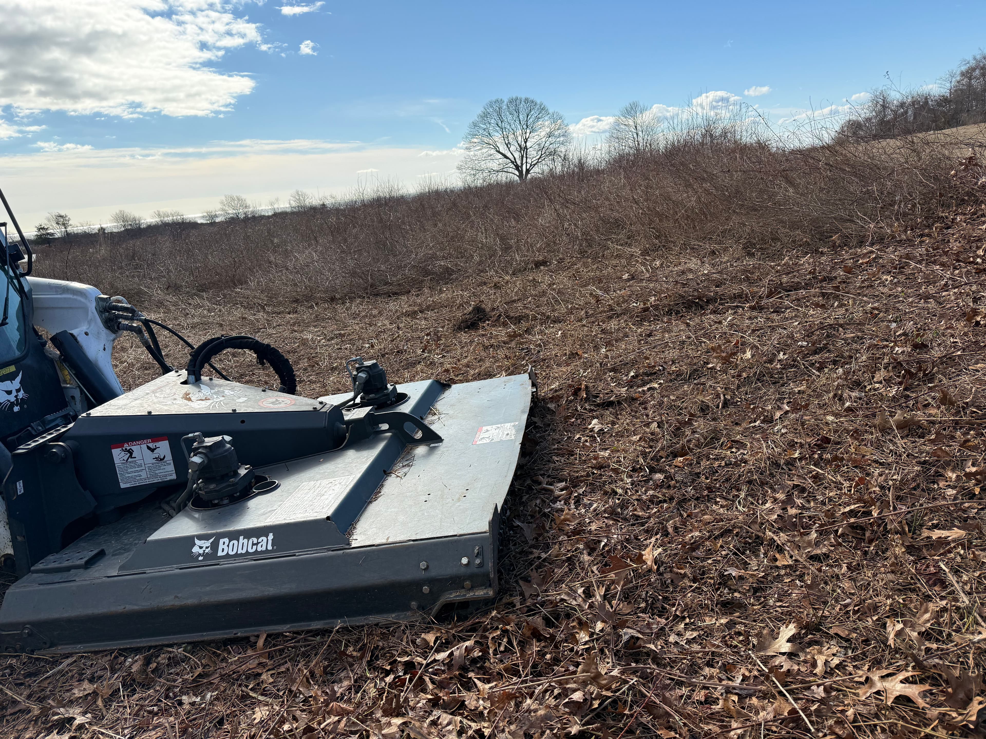 Project Brush Mowing Project for a Cleaner Landscape image