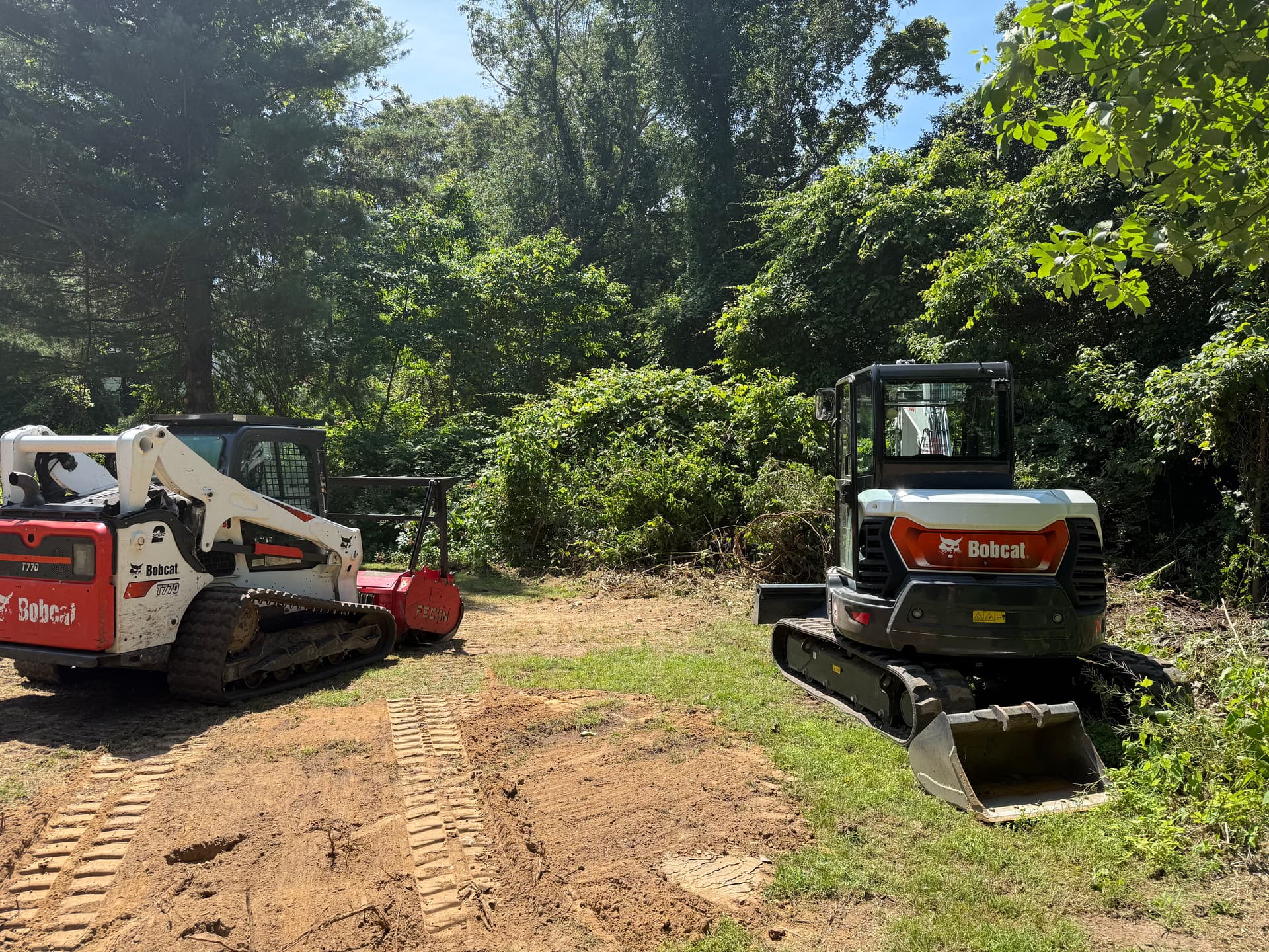 Overgrown Backyard Cleared and Turned Into a Real Lawn image