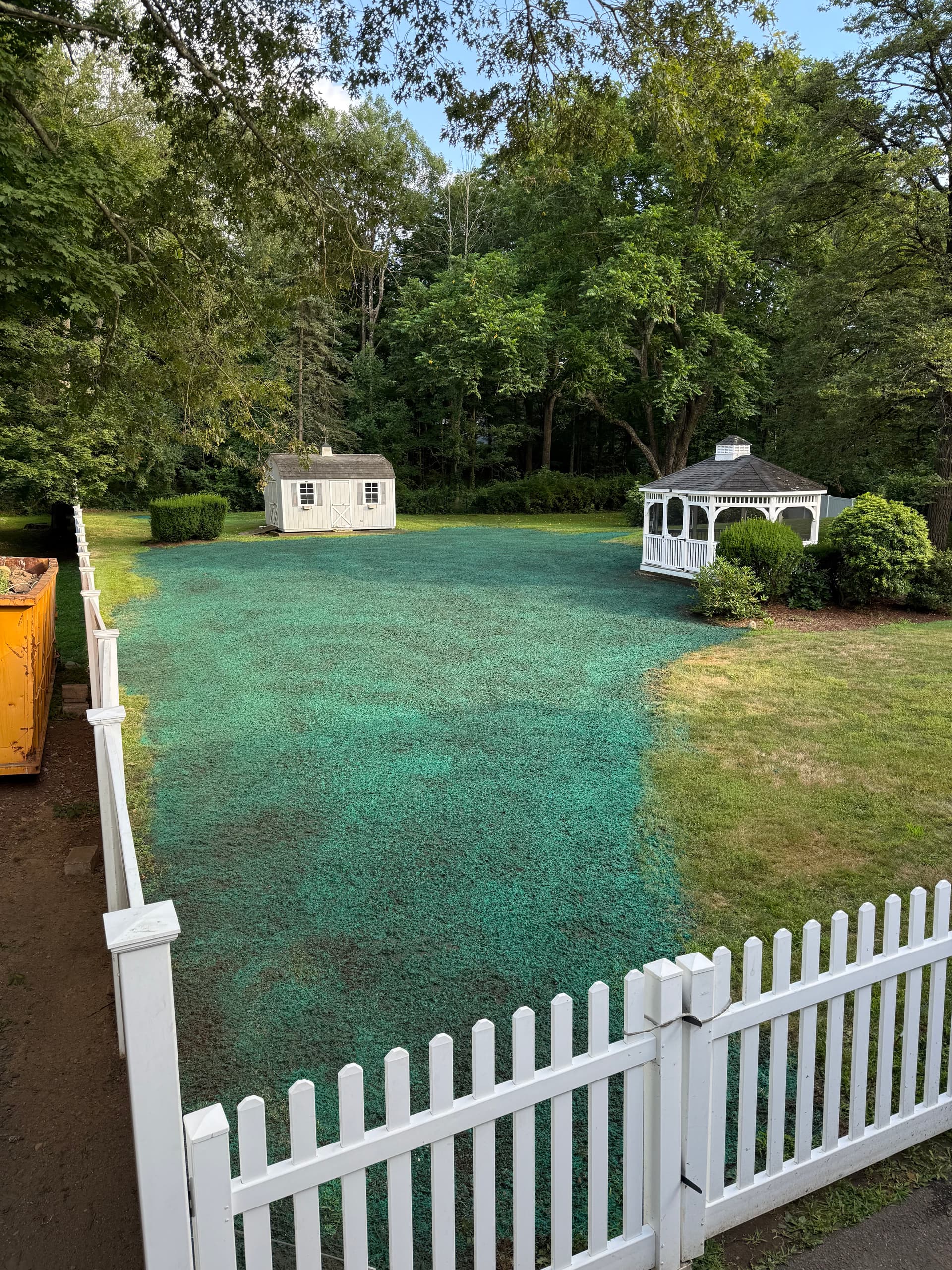 Backyard Revamp with Expert Pool Removal