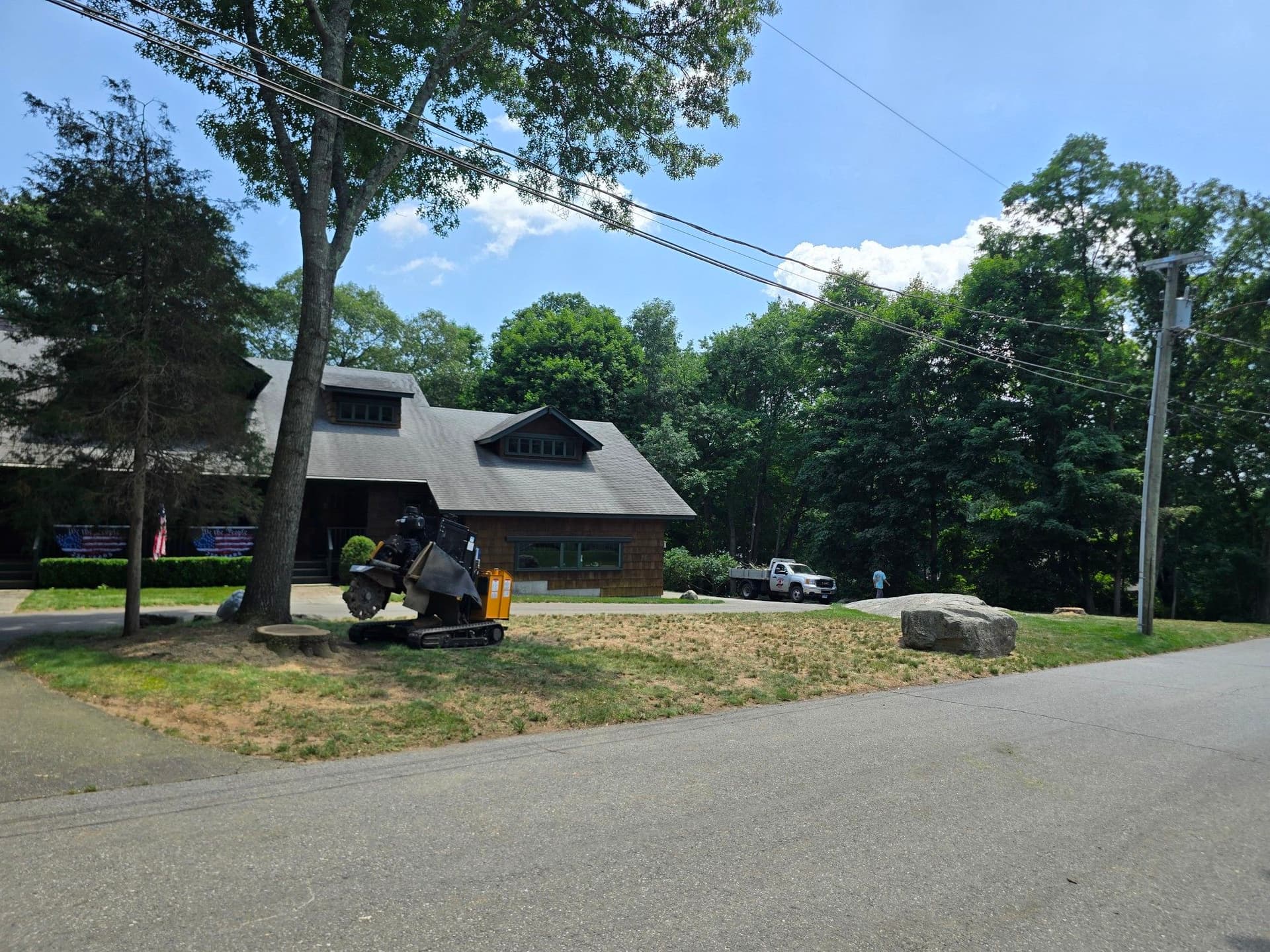 Gallery photos for Stump Grinding and Lawn Repair After a Big Tree Removal: Image #1