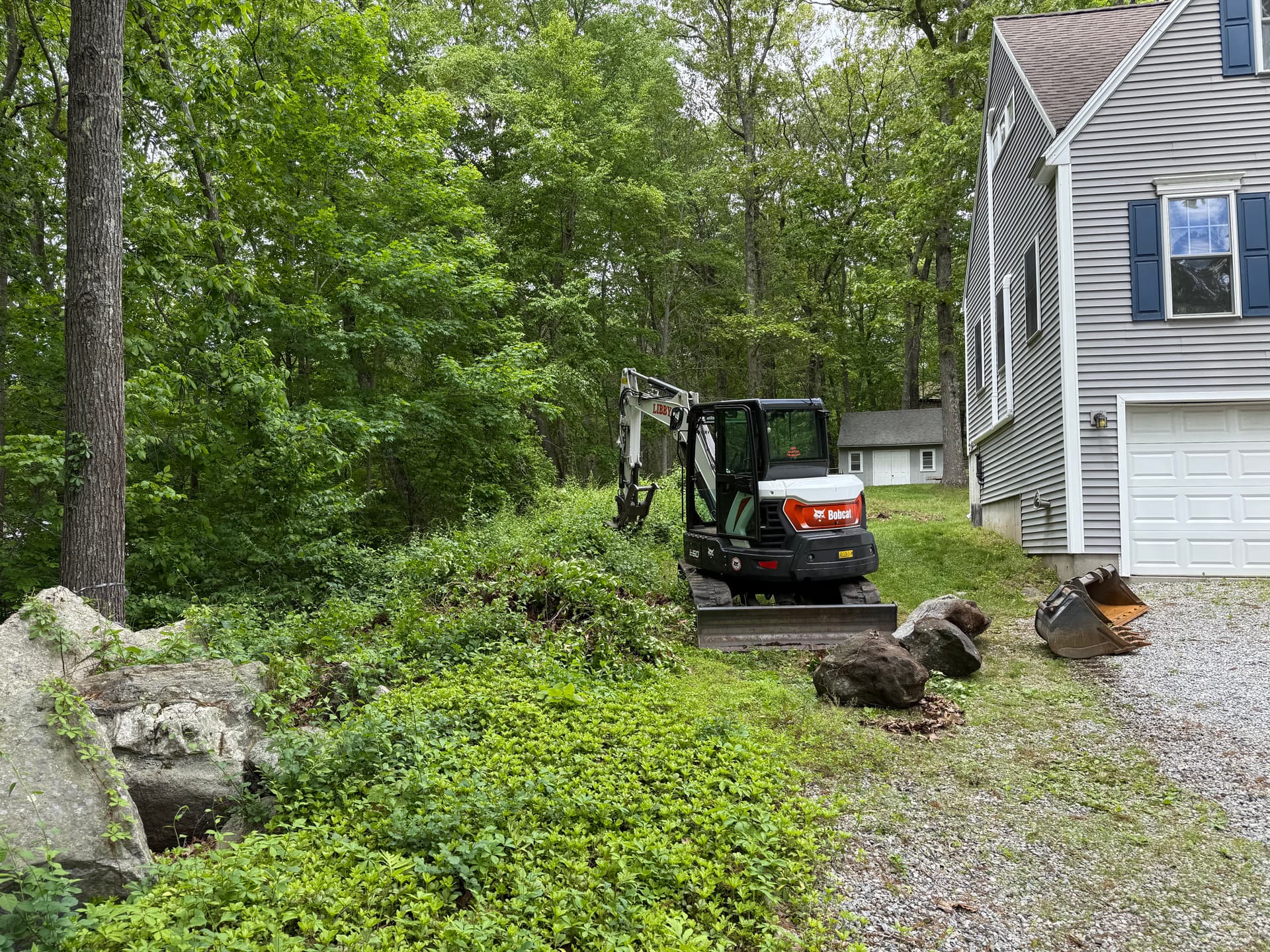 Overgrown Side Yard Cleared and Graded for Lawn Access image