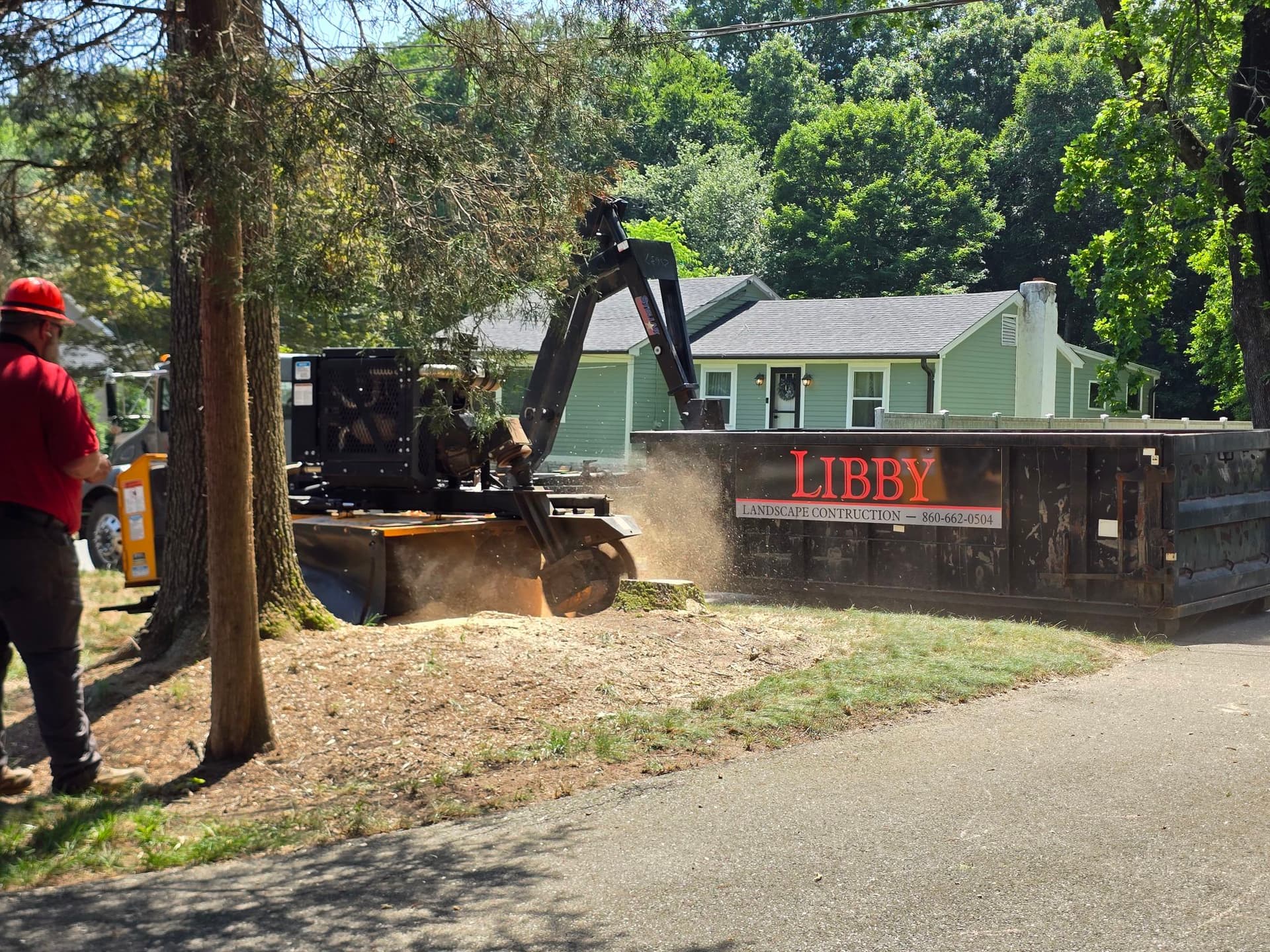 Gallery photos for Stump Grinding and Lawn Repair After a Big Tree Removal: Image #2
