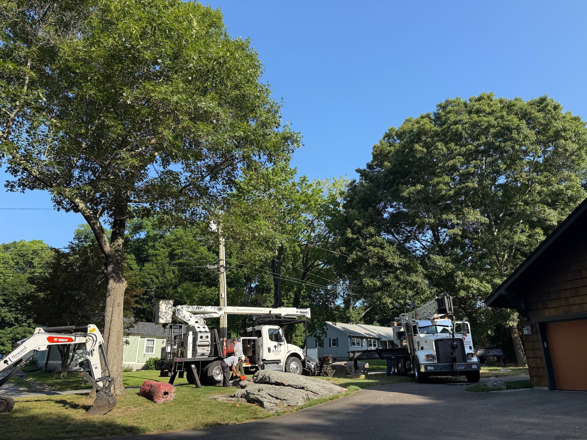 Stump Grinding and Lawn Repair After a Big Tree Removal image