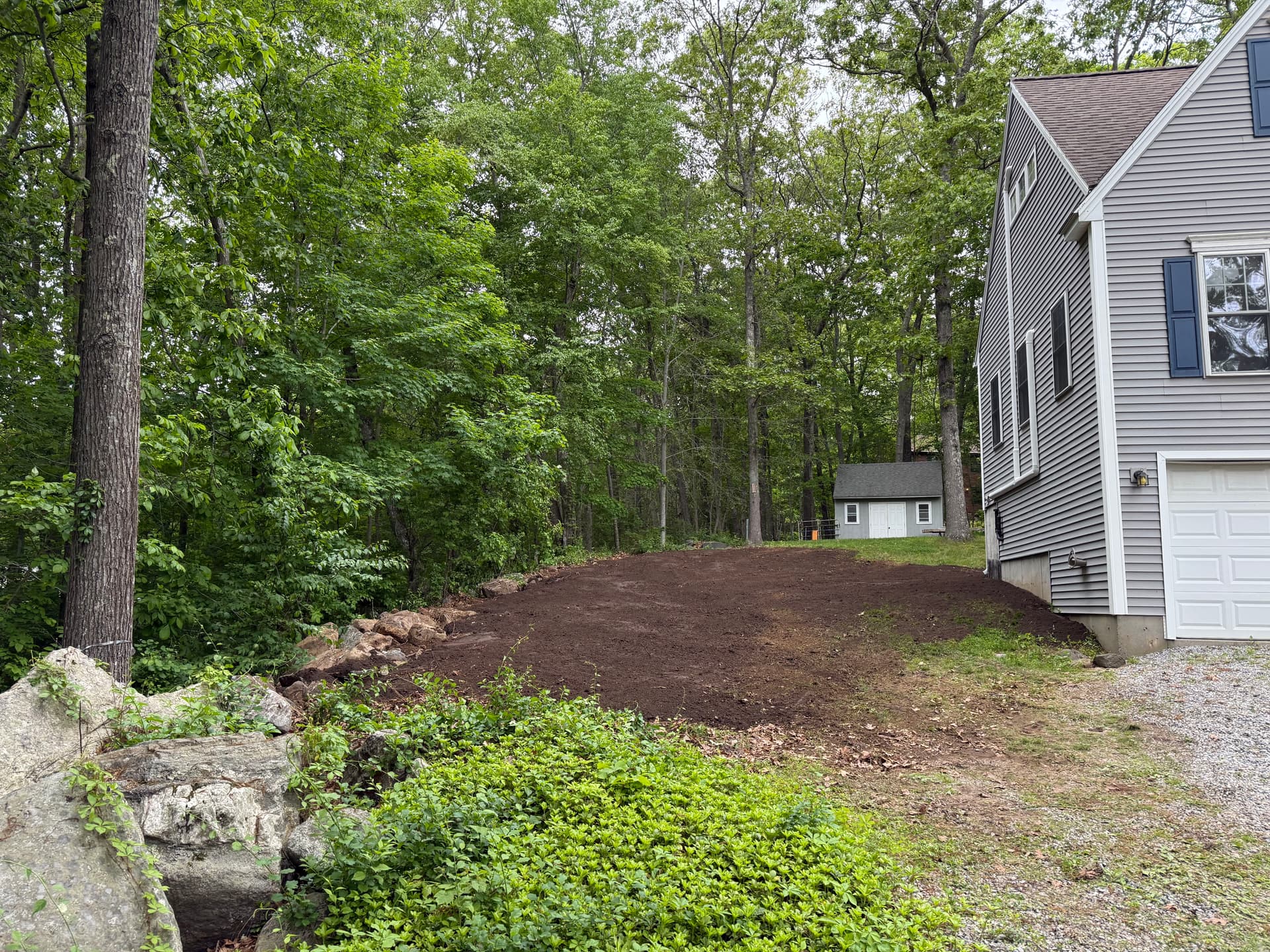 Gallery photos for Overgrown Side Yard Cleared and Graded for Lawn Access: Image #1