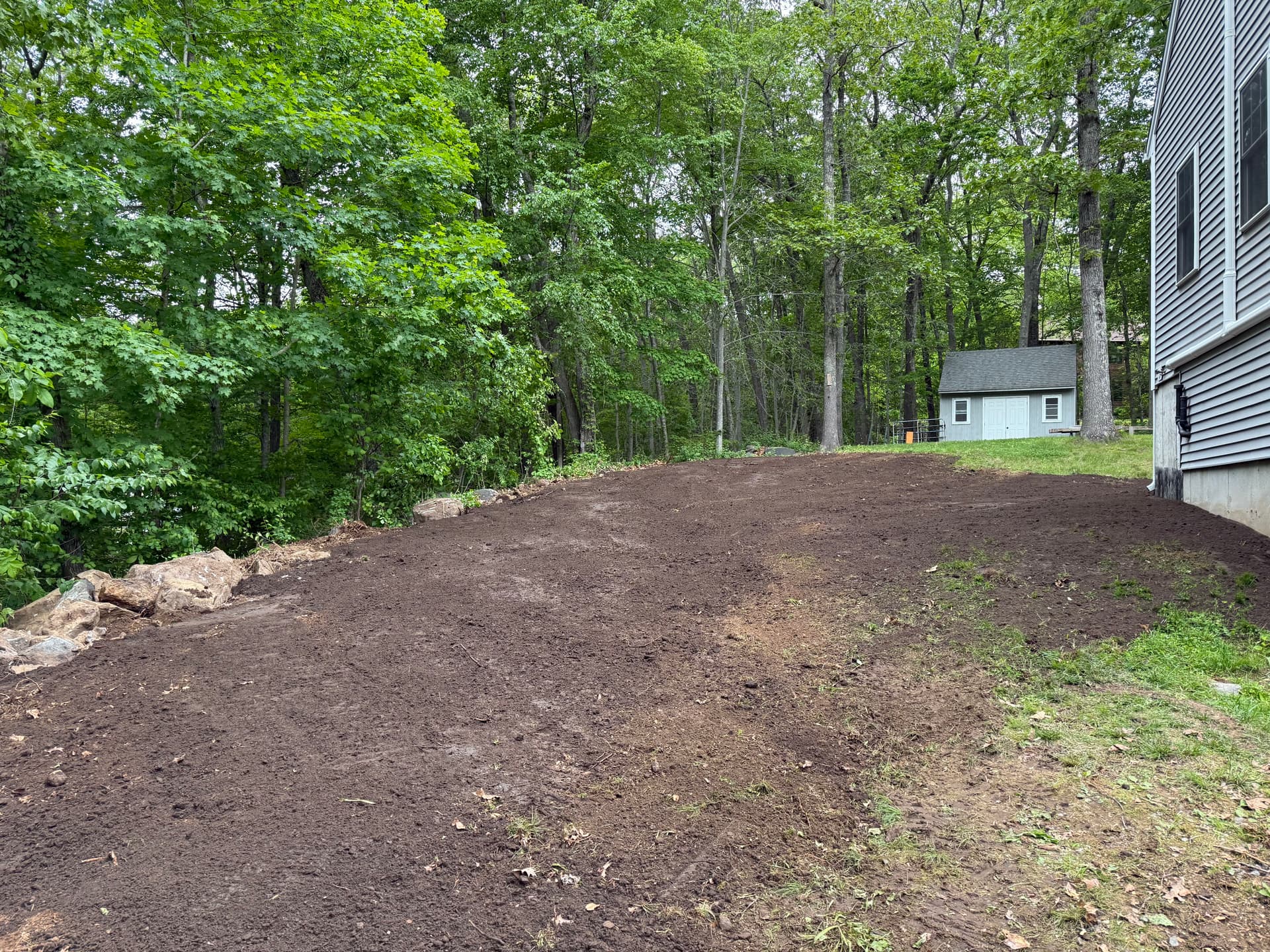 Gallery photos for Overgrown Side Yard Cleared and Graded for Lawn Access: Image #2