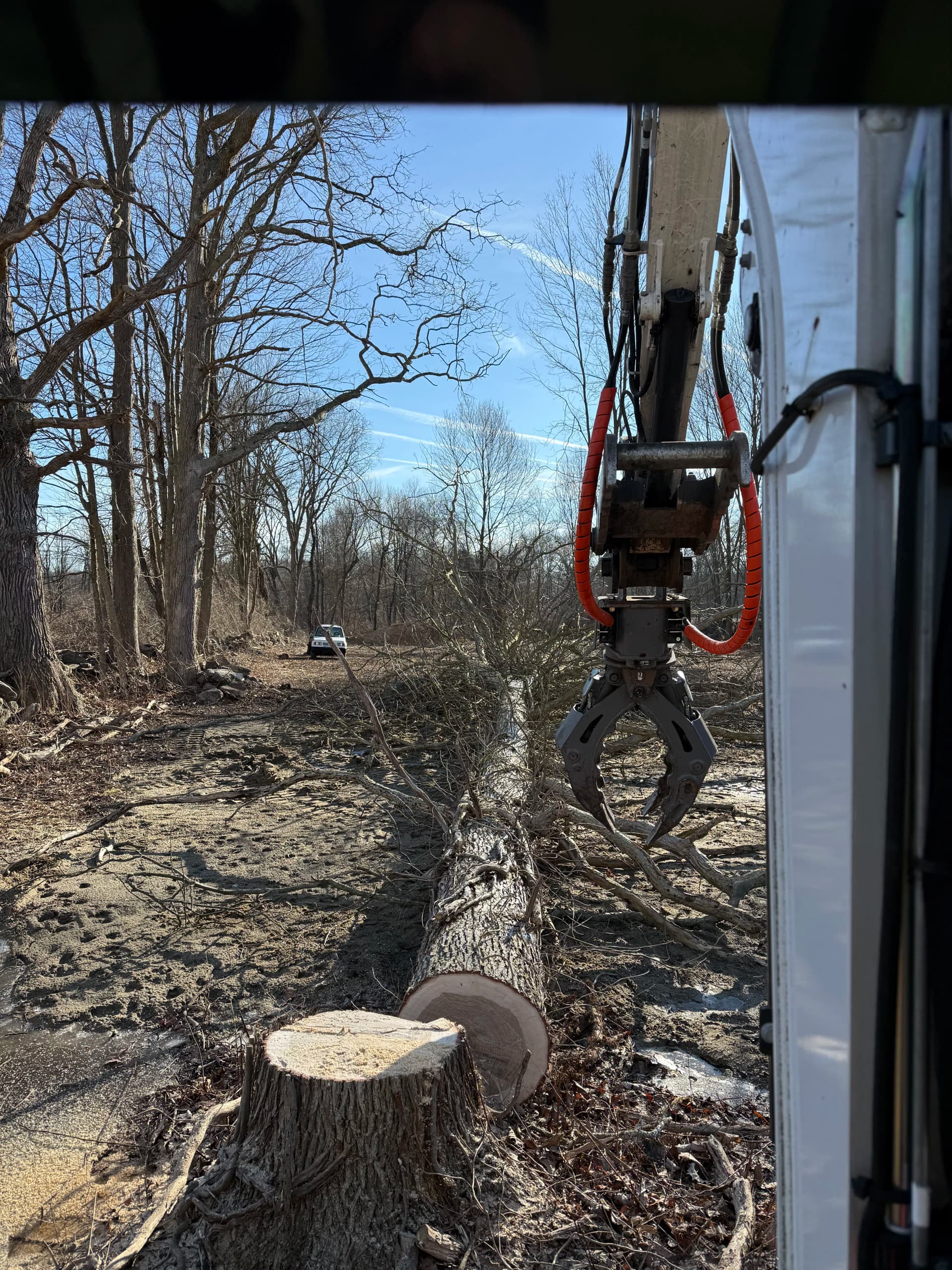 Gallery photos for Forestry Mulching and Land Clearing in Middlesex County: Image #1